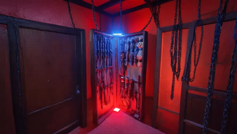 Estuche Profesional para Prácticas Spank: orden, estética y evolución en cada detalle